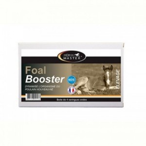 FOAL BOOSTER SERINGUE 15ML - Equinvest