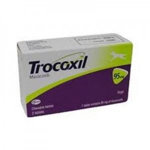 T**C*X*L 95MG 2CO*P.