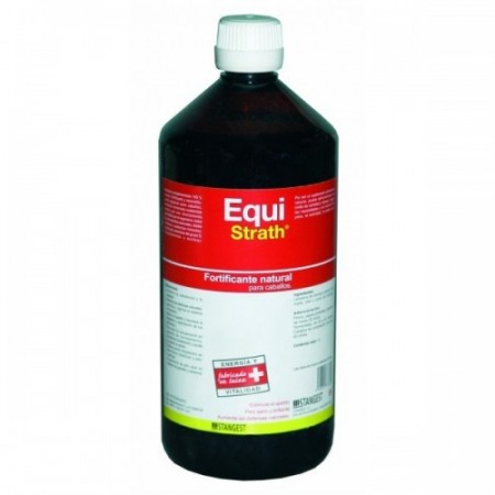 EQUI-STRATH 1L - Equinvest