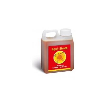 EQUI-STRATH 5L - Equinvest
