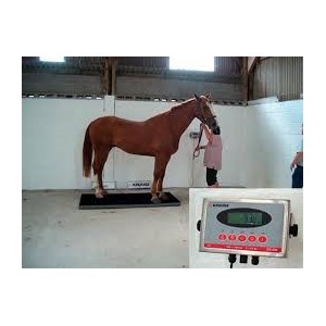 BASCULE ÉQUINE 1000 EQUIVET ROTATIVE - Equinvest