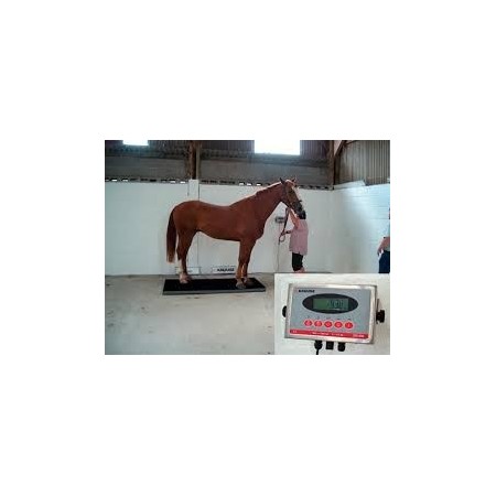 BASCULE ÉQUINE 1000 EQUIVET ROTATIVE - Equinvest