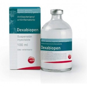 D**A*I**EN 100ML