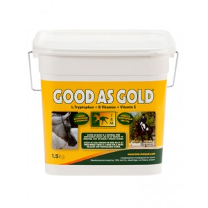 GOOD AS GOLD 1,5KG. - Equinvest