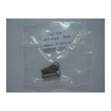 RIVET POUR ÉCARTEUR BUCAL MILLENIUM 1UD - Equinvest