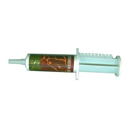 EQUIFERM 1JER20ML