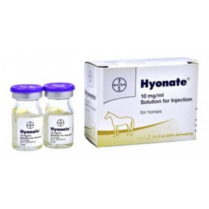 H**N*TE 2X2 ML I*Y.