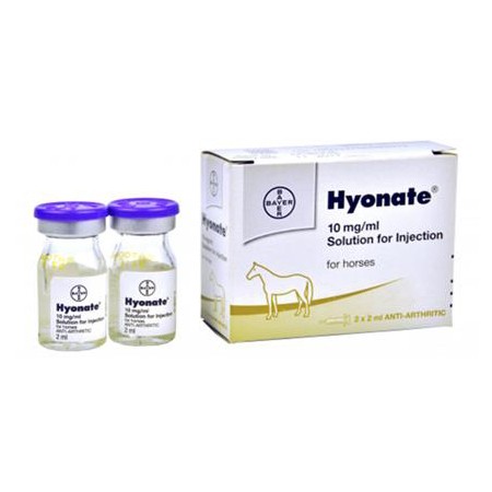 H**N*TE 2X2 ML I*Y.